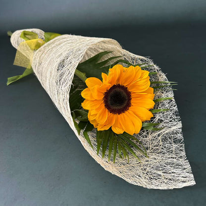 Single sunflower no fillers