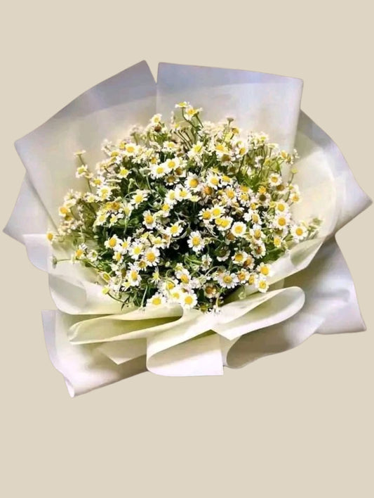 Daisy Charm – Fresh Chamomile Bouquet
