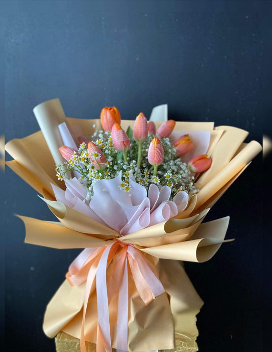 Tulips - 12 apricot dreams
