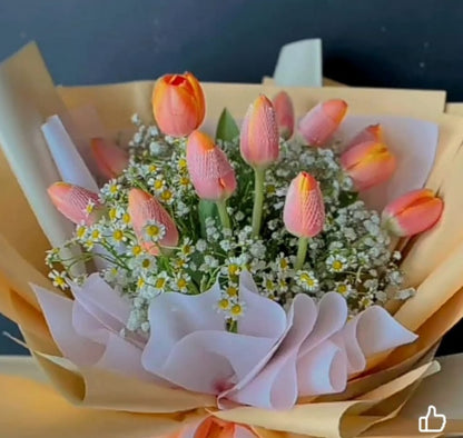 Tulips - 12 apricot dreams