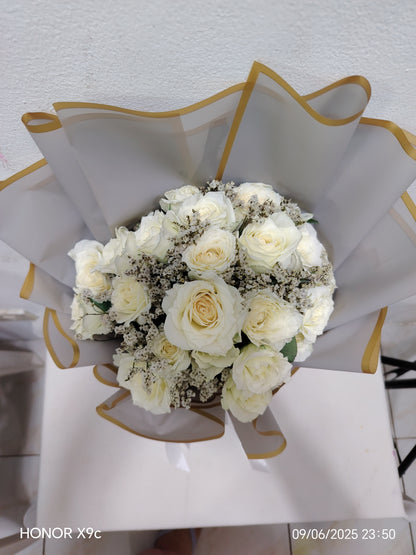 2 dozen White Roses - Dream Babe