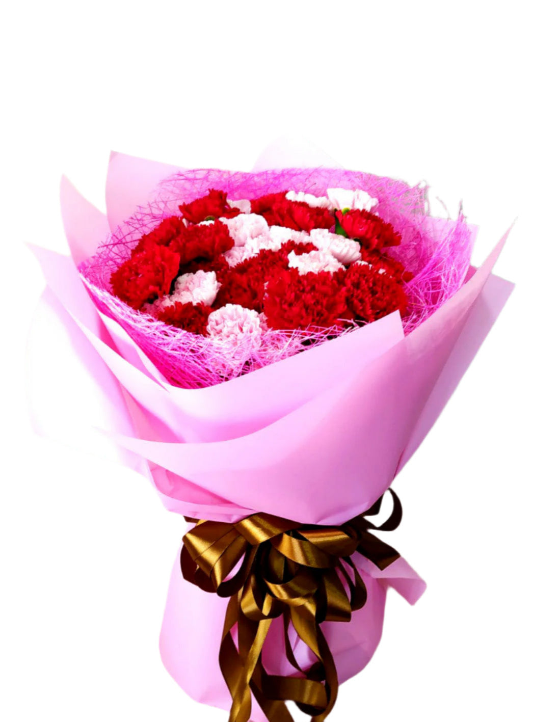 Carnation - Sweet Big Round of You (40)
