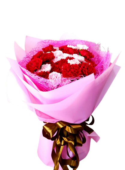 Carnation - Sweet Big Round of You (40)