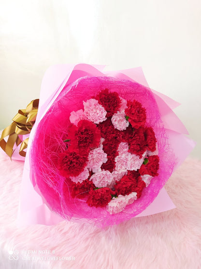 Carnation - Sweet Big Round of You (40)