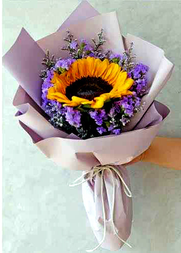 SUNFLOWER - My Lovander Sunshine