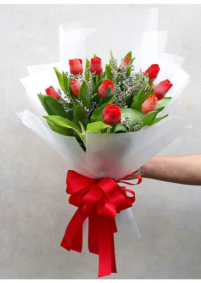 Tulips -  Red Erotic